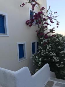 Lovely Flat With Amazing View