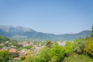 Vedere Apartments Thassos Greece