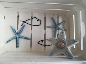 La Casa Delle Conchiglie