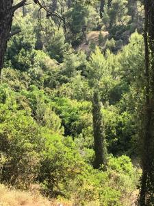 Lovely Flat With Amazing View Spetses Greece