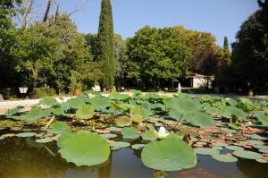 Hotels Le Mas D'Entremont : photos des chambres