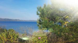 Chambre-Studio Mare Bianca