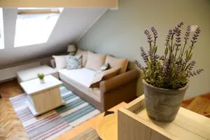 Hann Apartments - Temerin