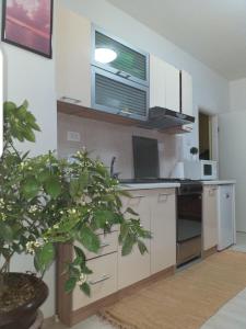Apartman Mariza