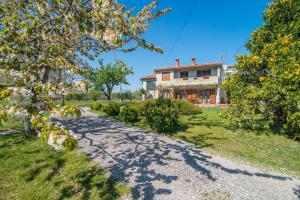 Apartment with Terrace in Filipana