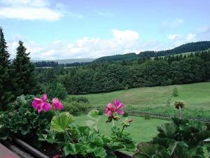Haus Panorama