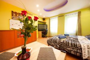 center of Bratislava with jacuzzi