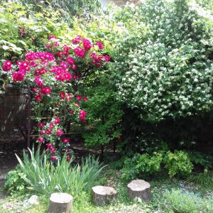 Apartments Kapus Center - 3hvězdičkové hotely ve městě Bled