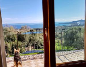 Solaria - Villa Ludduì img6