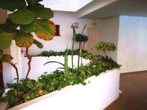 Beautiful Apartment Palm Mar con 4 posti letto e 3 piscine