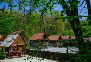 Toursit Complex Polyana Kvasova