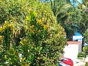 Marulhos Resort Porto de Galinhas