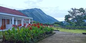 Rinjani Hill Hotel - 塞姆博伦拉旺