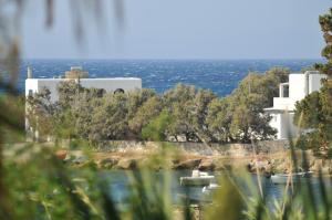 Nikoleta's Studios Paros Greece