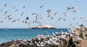 Kaalvoet Self-Catering Apartments