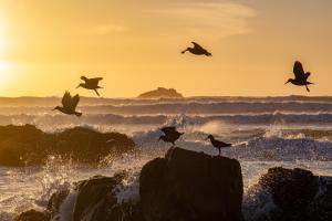 Kaalvoet Self-Catering Apartments