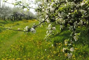 EKOTURYSTYKA W RAJU - Osłowo