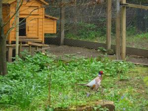 Doonbank Cottage Bothy