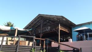 Jungle Monkey Backpackers