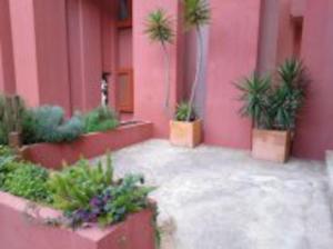 Estudio en la Muralla roja