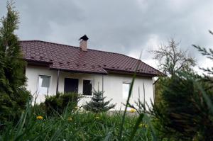 Вила Будинок в горах Yasenitsa Zamkova Украйна