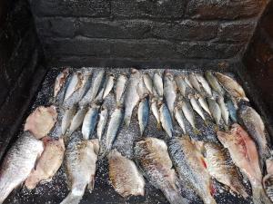 Vila Lăcrămioara din Mangalia