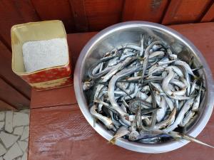 Vila Lăcrămioara din Mangalia