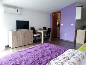 Studio apartman Milica