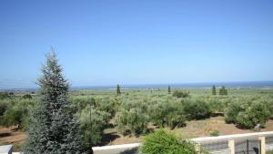 Luxury Villa Dion Messinia Greece