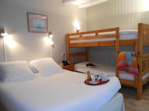 Hotels Le Chabi : photos des chambres