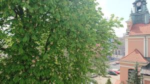 Central Place for You