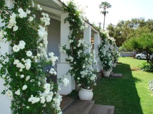 Goedehoop Guesthouse