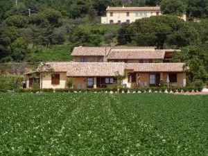 Agriturismo Casale del Contadino - Bolsena