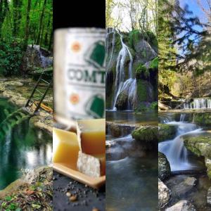 Maisons de vacances Gite Des Lacs Jumeaux : photos des chambres