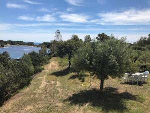 Villa Sa Curcurica img45