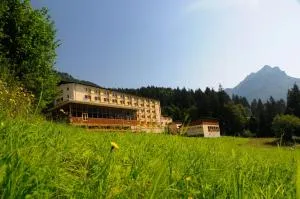 博波特伊酒店 - 特尔乔夫