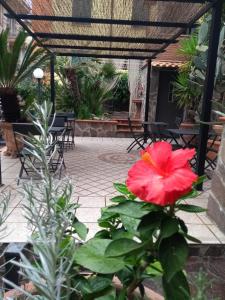 Glam Resort Villa Maria Luigia