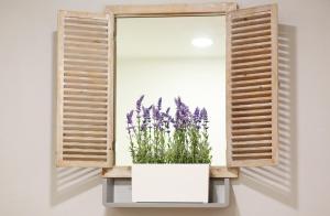 Split Old Town Suites