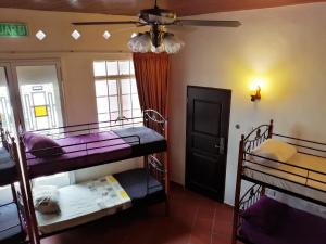 Great Shanghai Guesthouse