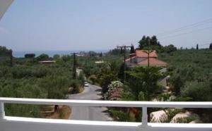 Tassos & Marios Apartments I Zakynthos Greece