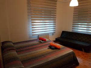 Apartamentos Avenida de la paz 2