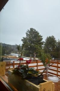 Rifugio Il Ginepro dellEtna