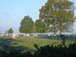 B&B / Chambres d'hotes La Thibaude - Livry : photos des chambres