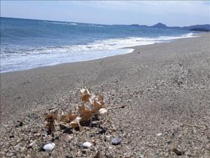Atlantide img43