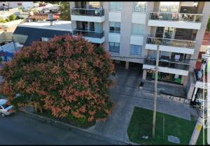 Apartamento Reyes Catolicos