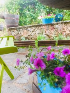 Agriturismo Pranu img66