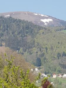 Appartements Petit week end dans la vallee : photos des chambres