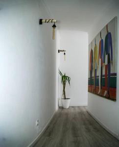 Casa Grainha Vidigueira