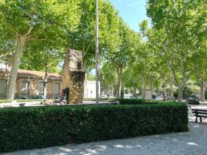 Appartements Appartement avec Terrasse : photos des chambres