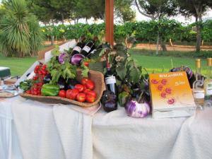 Agriturismo Porticciolo img21